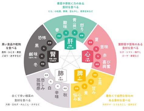 五行開運|陰陽五行説でひもとく風水。「気」のバランスを整え。